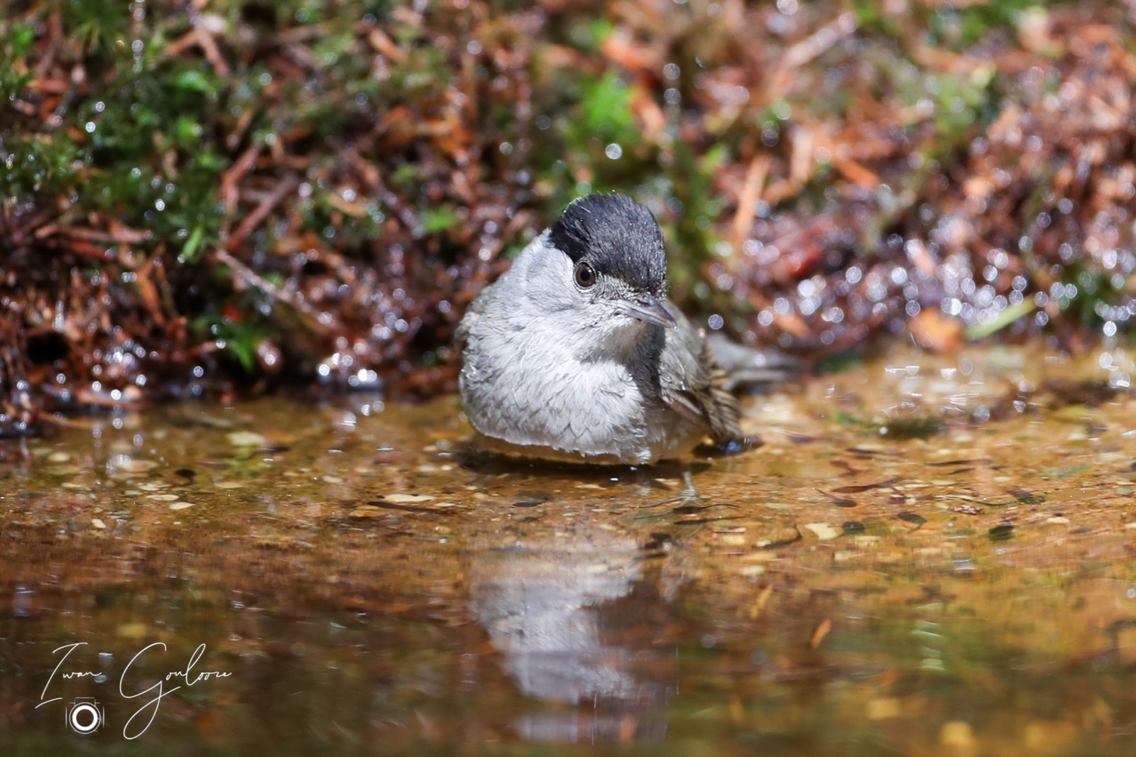 12 juni 2022 160121 1DX47157